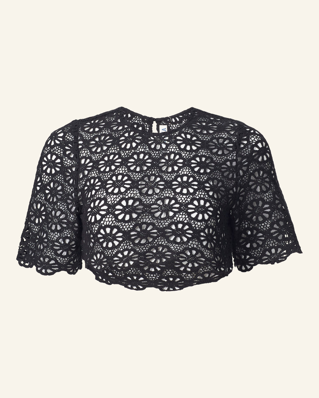 The Nala Onyx Lace Cropped Top is a black cotton lace cropped top adorned with delicate daisy motifs, floral patterns, and short sleeves on a plain background.