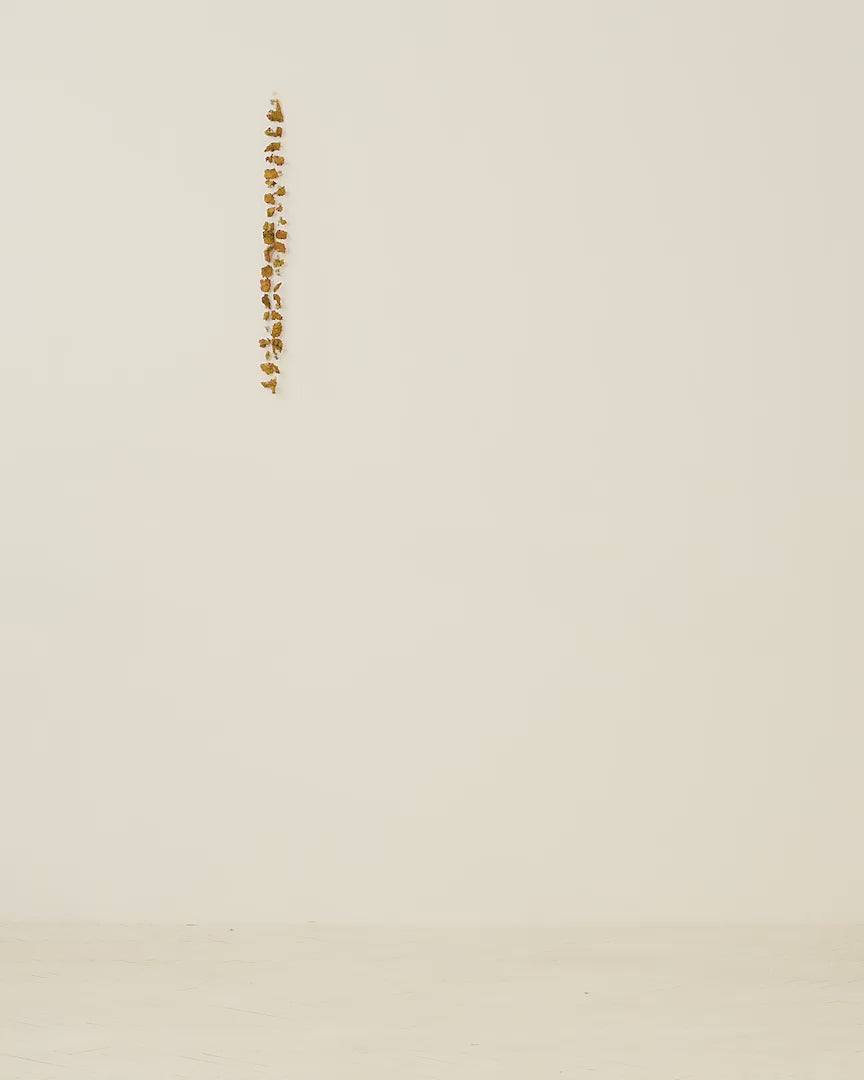 Nina Whitegold Coin Top